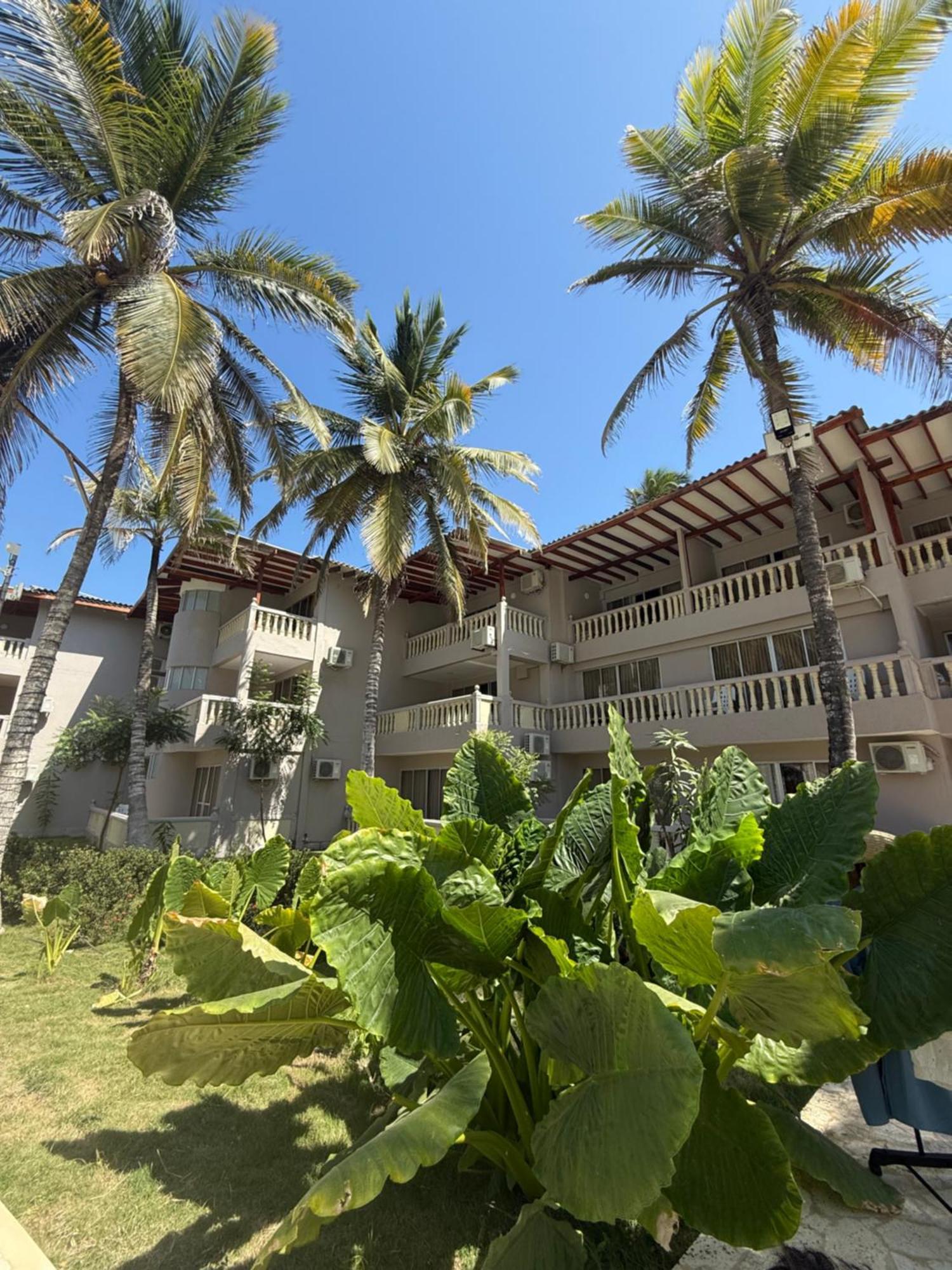 Playa Palmeras Hotel 3*